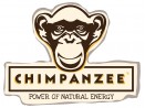 Chimpanzee nutrition